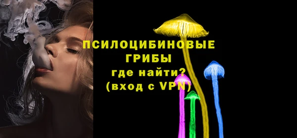 ешки Алзамай