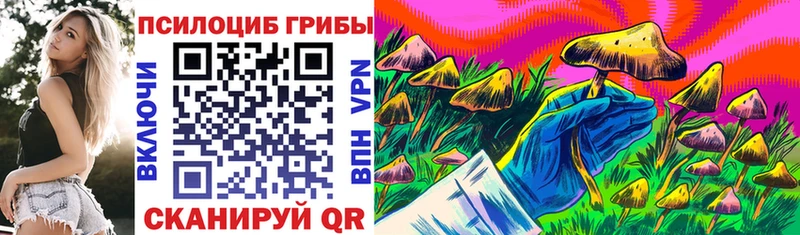 закладка  Грязи  Галлюциногенные грибы мухоморы 